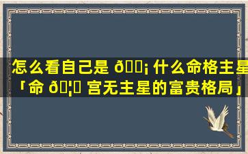 怎么看自己是 🐡 什么命格主星「命 🦁 宫无主星的富贵格局」